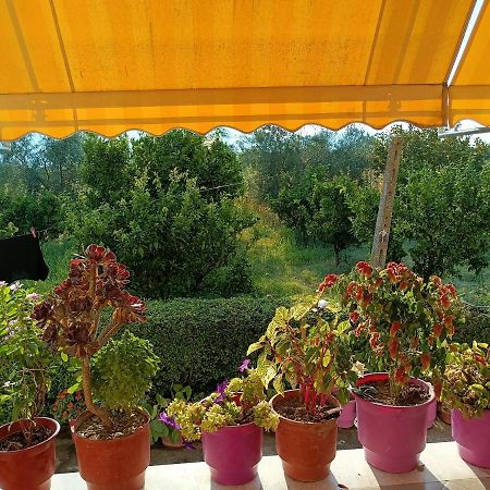 Guest House Fetie Берат Екстер'єр фото