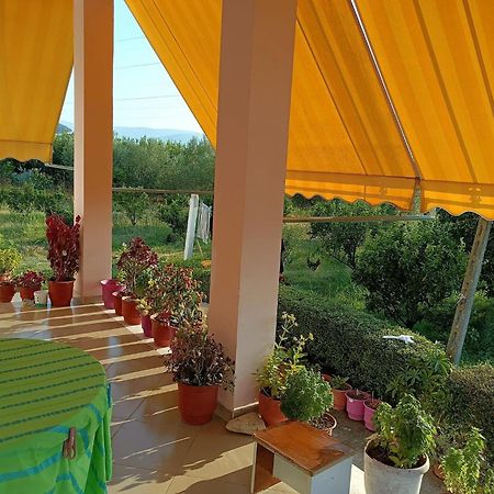 Guest House Fetie Берат Екстер'єр фото